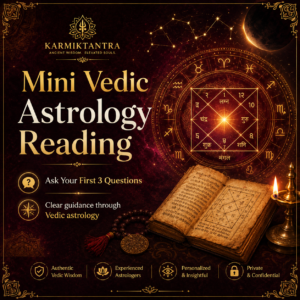 Mini Vedic Astrology Reading