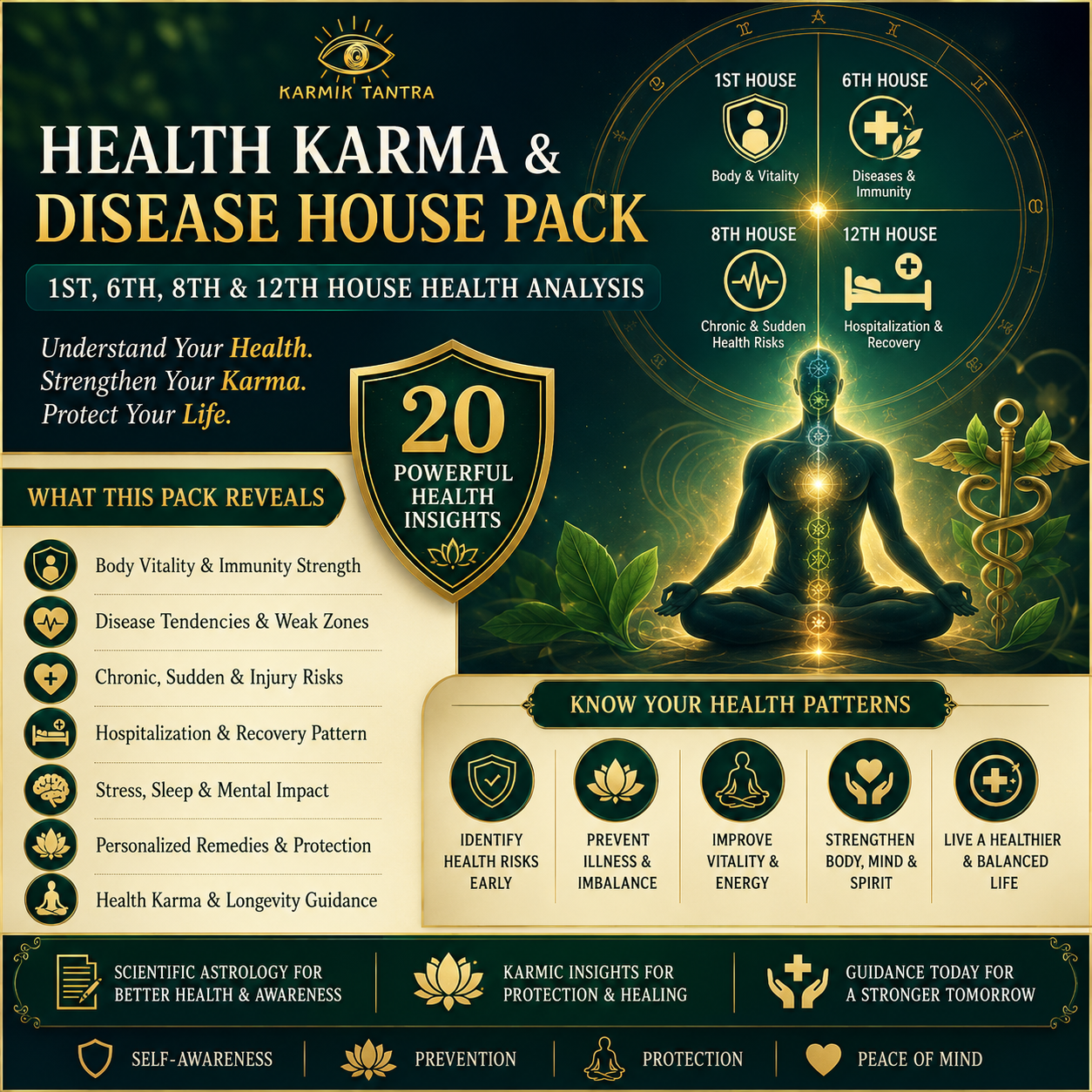 Health Karma & Disease House Report